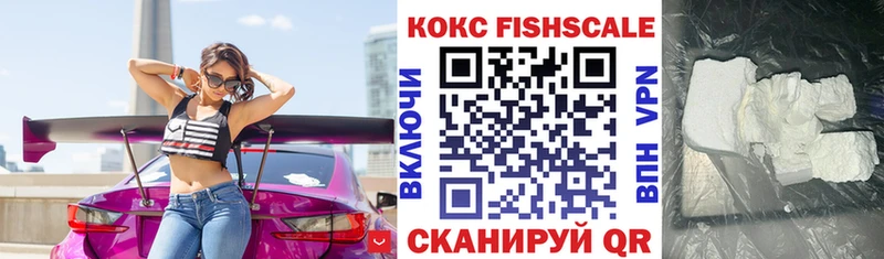 COCAIN Fish Scale  Чебоксары 