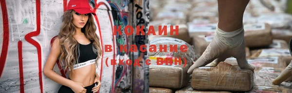 тгк Алзамай