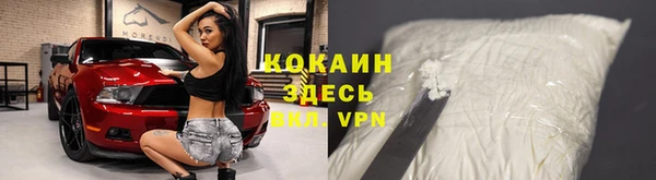 ешки Алексин
