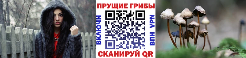 Галлюциногенные грибы Magic Shrooms  Чебоксары 